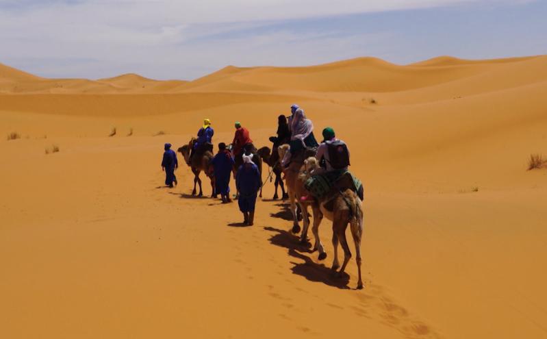 Camel riding in Sahara desert