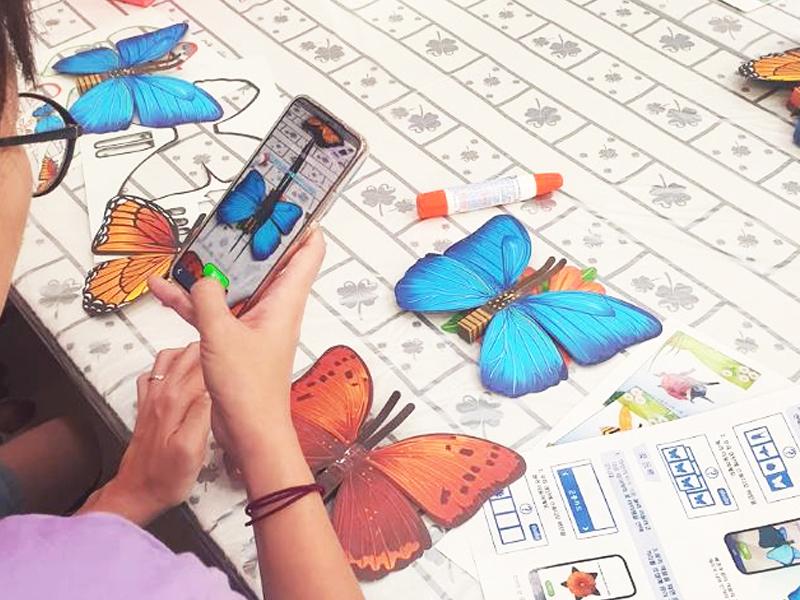Register insects with the augmented reality insect origami mobile app.