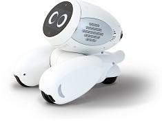Home AI robot iJini