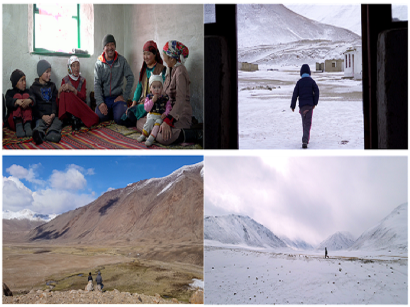 Yaks and nomadic families in the Pamir plateau