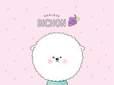 Bongjour Bichon