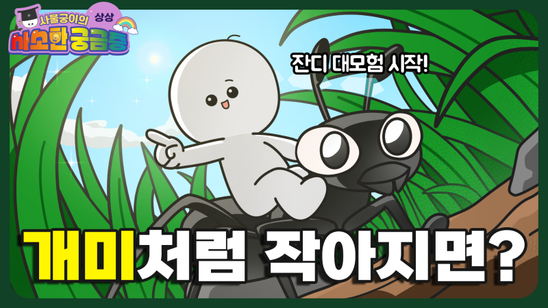 <Samulgoongi’s Minor Curiosities> Series, currently available on ‘Elihigh’