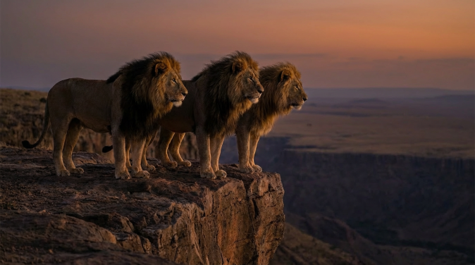 Lonheart II : Reign of the Pride