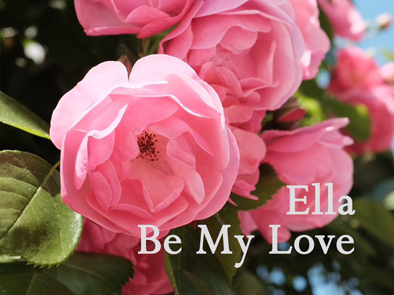 Be My Love