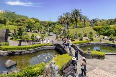 “A living source of Garden Philosophy content, where trees, stones, water, and time come together in harmony