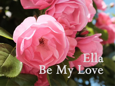 Be My Love