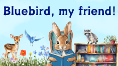 Little Rabbit Raddie, Alphabet Tales, Letter B, Cover 