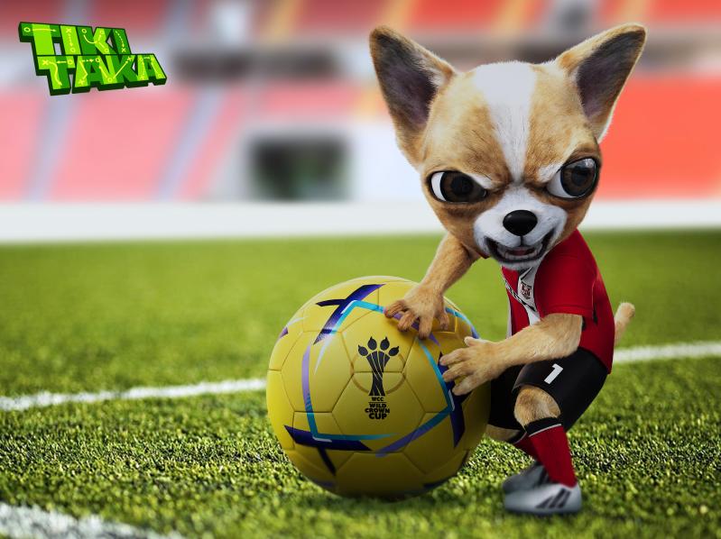 Garcia (Chihuahua) A Two-Faced Goalkeeper the size of a Soccer Ball