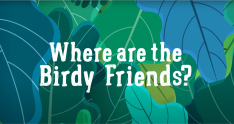 Where are the Birdy Friends?