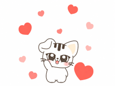 Angnyang is an original character that brings small moments of happiness to everyday life.