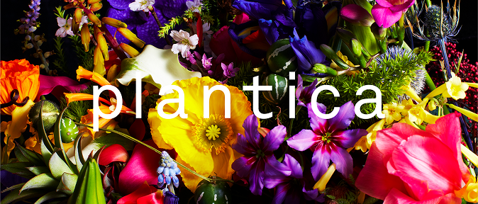 plantica