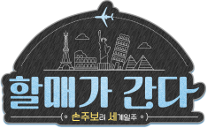 Program Logo for Granny Goes Global