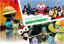 Birdy Friends marketing