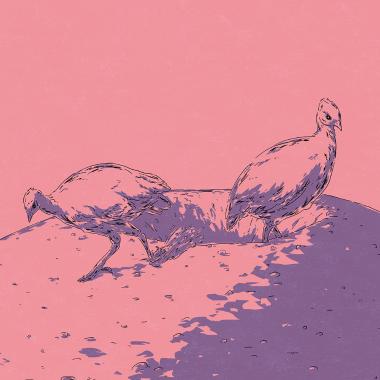 'Exploration in Solitary' Ep.03 『Grave of the Grave Birds』