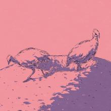 'Exploration in Solitary' Ep.03 『Grave of the Grave Birds』