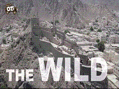 the Wildness in Asia