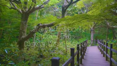 How far have you explored JEJU?