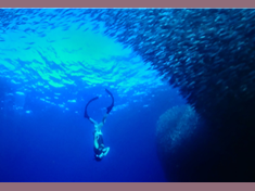 Ocean fantasy, Dreaming of a mermaid