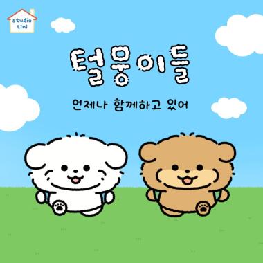 Teolmungi