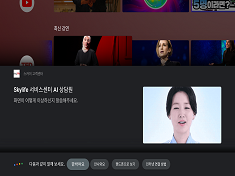 Sky AI customer service