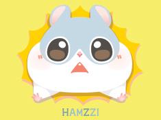 HamZzi