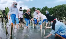 Indonesia kpop fans areplanting MangroveTrees.