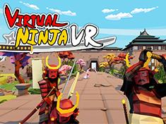 Virtual Ninja VR