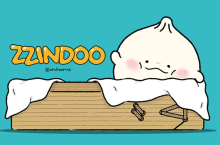 ZZINDOO