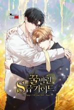 Honey Glazed S-Class Guide