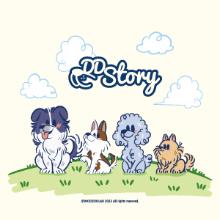 DD Story