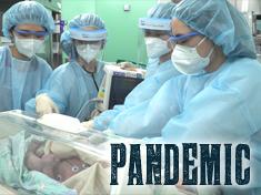 The Pandemic