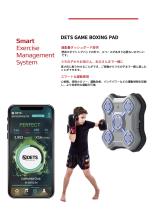 Boxing rhythm game DETS Boxing pad