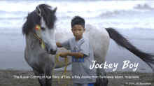Jockey Boy